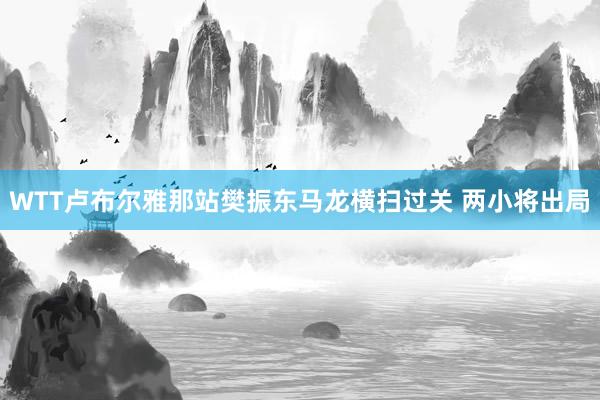 WTT卢布尔雅那站樊振东马龙横扫过关 两小将出局